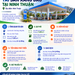 nhu-cau-cay-xang-Ninh-Thuan